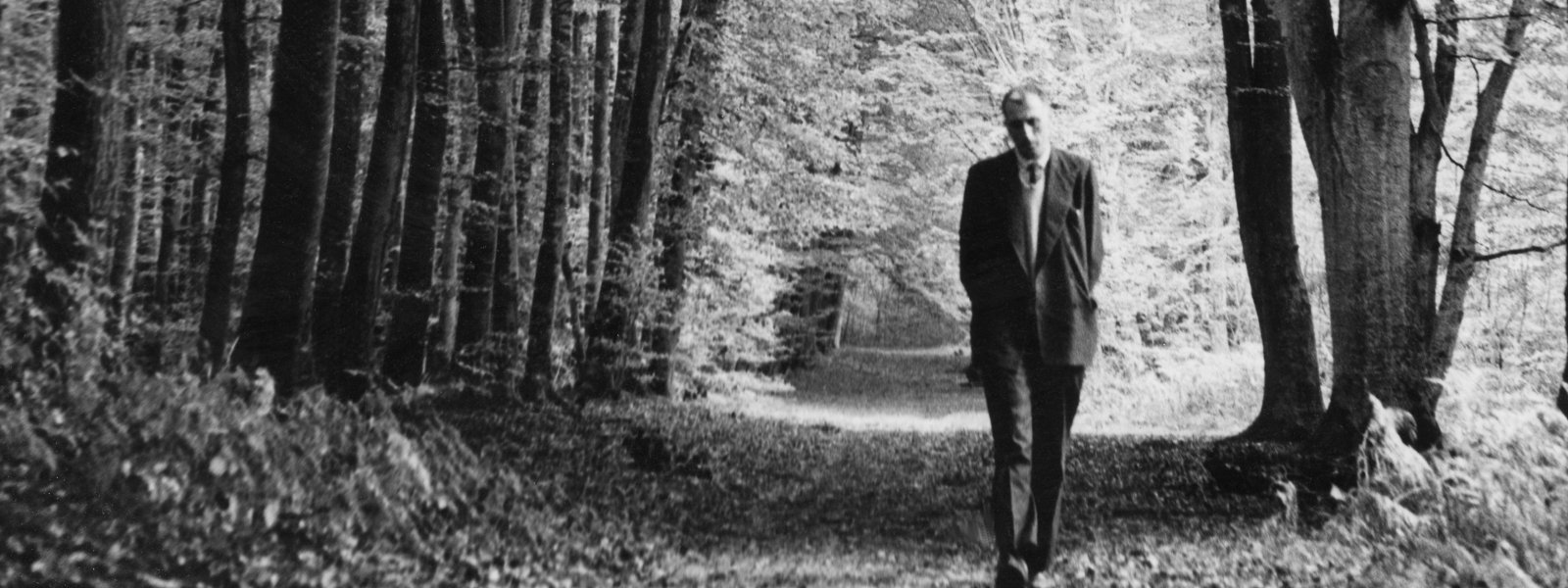 Jean Vanier The Sacrement Of Tenderness