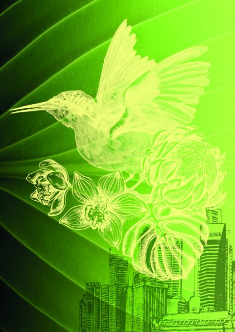Mnhn Forum Nature Singapour Visuel A4 01