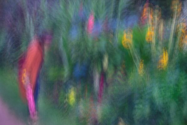 The Trees Of Paris Melisa Teo